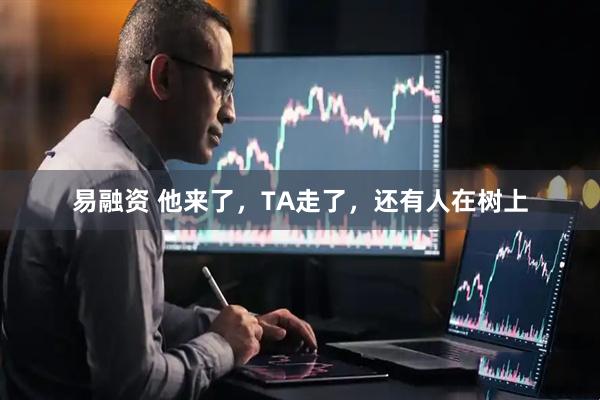 易融资 他来了，TA走了，还有人在树上