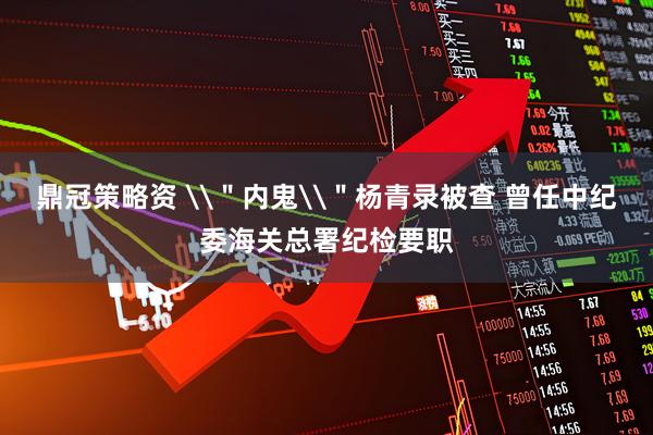 鼎冠策略资 \＂内鬼\＂杨青录被查 曾任中纪委海关总署纪检要职