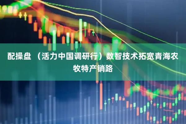 配操盘 （活力中国调研行）数智技术拓宽青海农牧特产销路