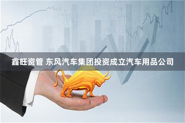 鑫旺资管 东风汽车集团投资成立汽车用品公司