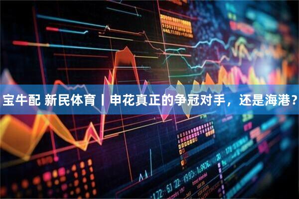 宝牛配 新民体育丨申花真正的争冠对手，还是海港？