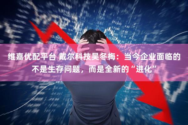 维嘉优配平台 戴尔科技吴冬梅：当今企业面临的不是生存问题，而是全新的“进化”