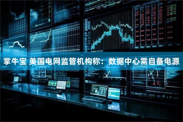 掌牛宝 美国电网监管机构称：数据中心需自备电源