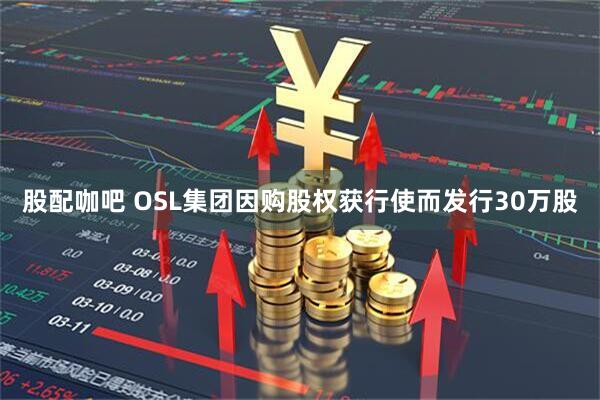 股配咖吧 OSL集团因购股权获行使而发行30万股