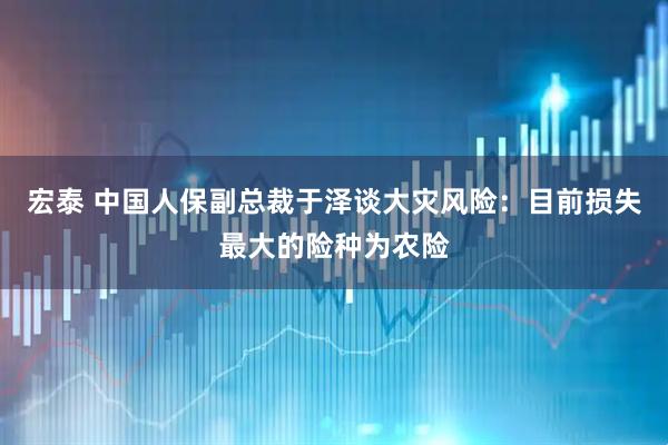 宏泰 中国人保副总裁于泽谈大灾风险：目前损失最大的险种为农险