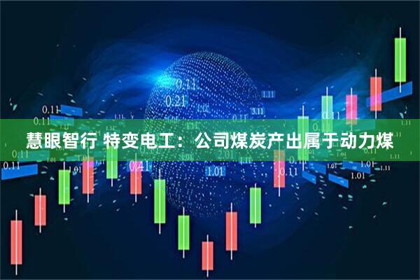 慧眼智行 特变电工：公司煤炭产出属于动力煤