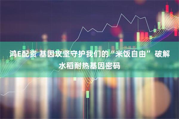 鸿E配资 基因攻坚守护我们的“米饭自由” 破解水稻耐热基因密码